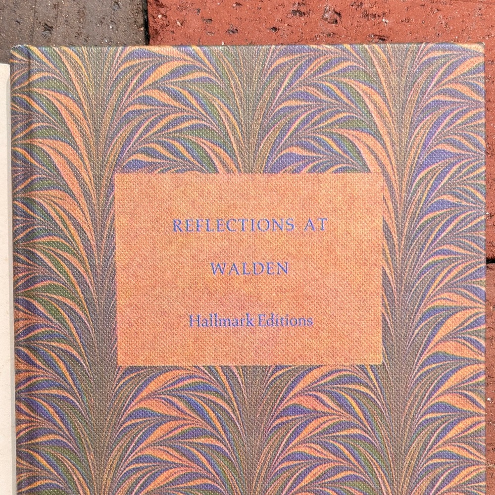 1968 Reflections at Walden Pond Henry David Thoreau Color Photo Nature Woods - Picture 2 of 9